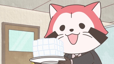 Raccoon Calcal Force