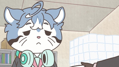 Raccoon Calcal Force