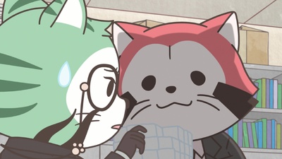 Raccoon Calcal Force