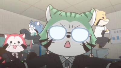 Raccoon Calcal Force