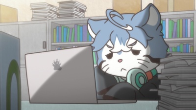Raccoon Calcal Force