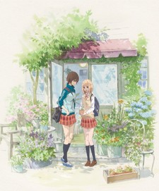 Kimi no Hikari: Asagao to Kase-san. OVA