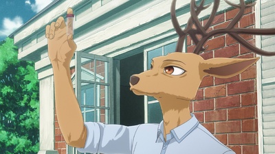BEASTARS FINAL SEASON