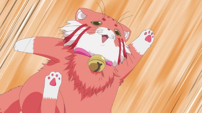 Cute High Earth Defense Club Haikara!