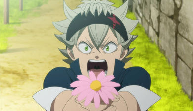 Black Clover