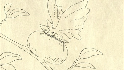 cocoon