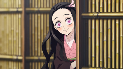 Demon Slayer: Kimetsu no Yaiba - L'allenamento dei Pilastri