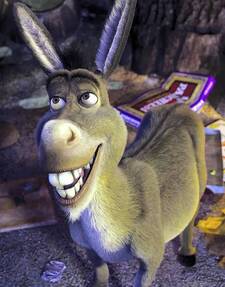 Donkey