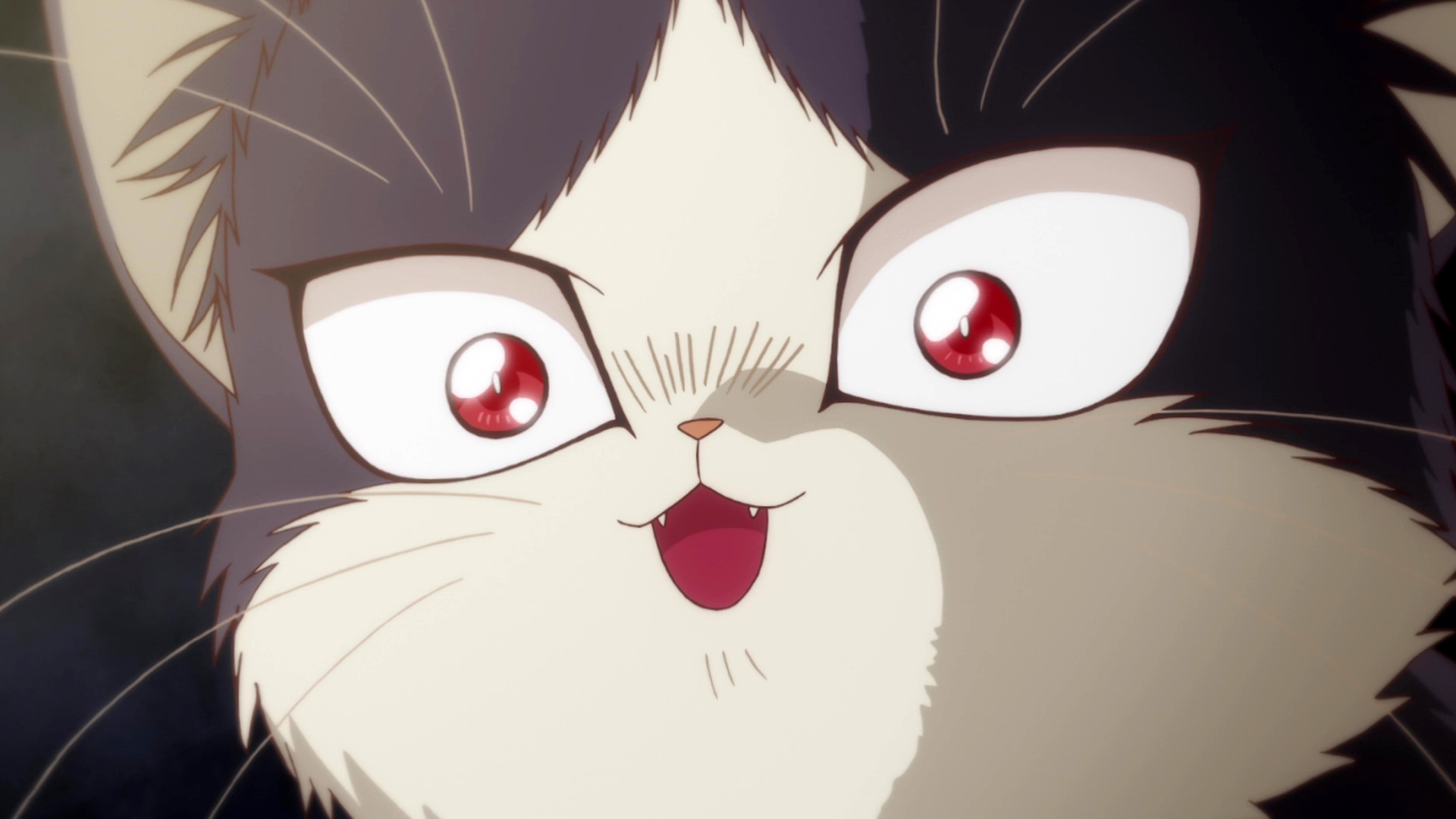 My Roommate is a Cat (Anime) | AnimeClick.it - Anime Like My Roommate Is A Cat