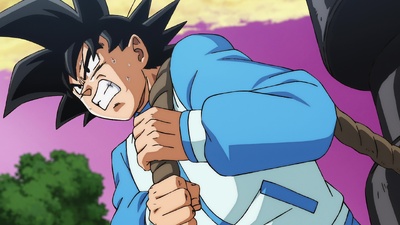 Dragon Ball Super: Beerus