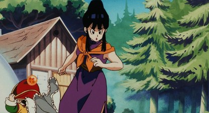 Dragon Ball Z: La vendetta divina