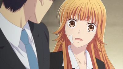 Fruits Basket: Prelude