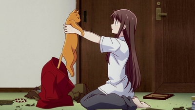 Fruits Basket 1st Season