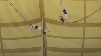 Grow Up Show: Sunflower Circus