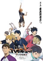 Haikyu!! Vs. The Little Giant