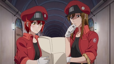 Cells at Work!