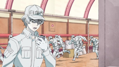 Cells at Work!