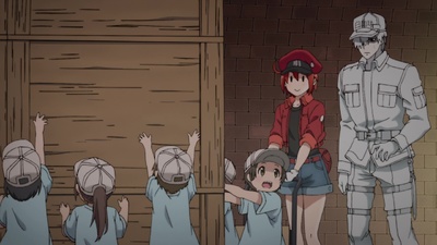 Cells at Work!