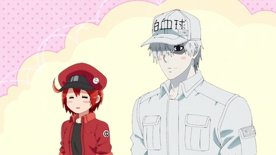 Cells at Work!