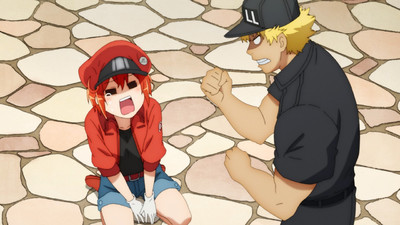 Cells at Work!!