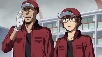 Cells at Work BLACK