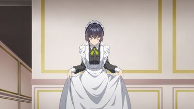 Heroine? Saint? No, I'm an All-Works Maid (and Proud of It)!