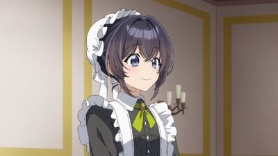 Heroine? Saint? No, I'm an All-Works Maid (and Proud of It)!