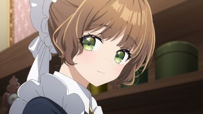 Heroine? Saint? No, I'm an All-Works Maid (and Proud of It)!