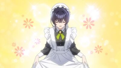 Heroine? Saint? No, I'm an All-Works Maid (and Proud of It)!
