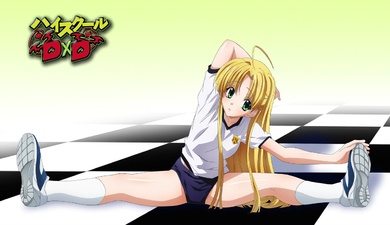 High School DXD