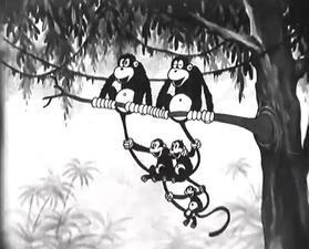 Il flirt delle scimmie