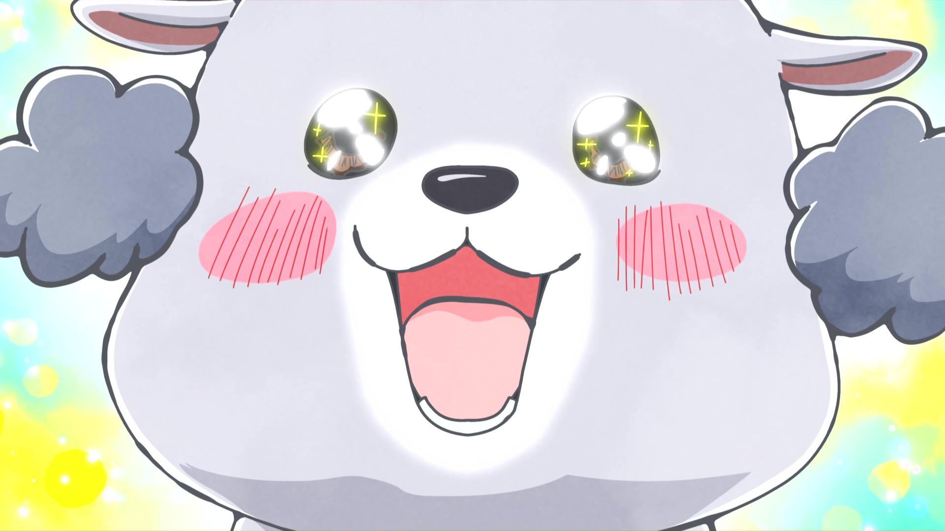 With a Dog and a Cat, Every Day is Fun (Anime) | AnimeClick.it