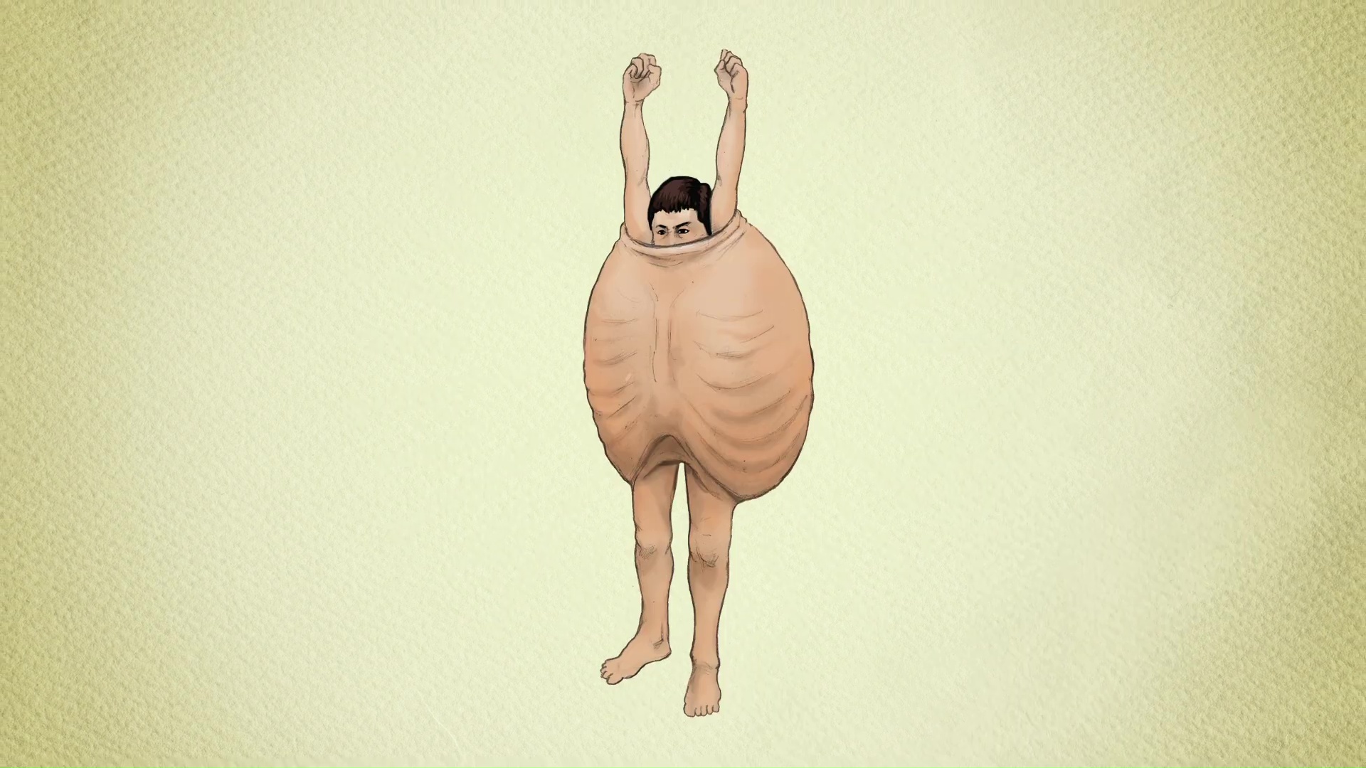 A Turtle's Shell Is a Human's Ribs (Anime) | AnimeClick.it