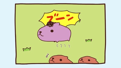 Kapibara-san
