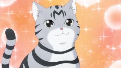 Too Cute Crisis