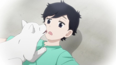 Kinokoinu Mushroom Pup