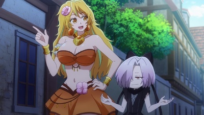 The Shy Hero and the Assassin Princesses