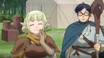Quality Assurance in Another World