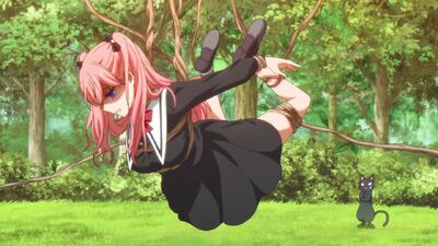 The Classroom of a Black Cat and a Witch