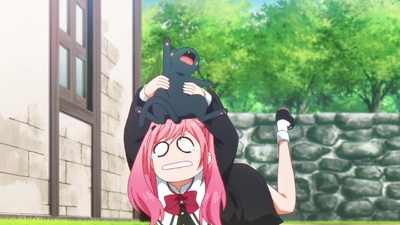 The Classroom of a Black Cat and a Witch