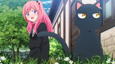 The Classroom of a Black Cat and a Witch