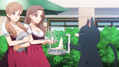 The Classroom of a Black Cat and a Witch