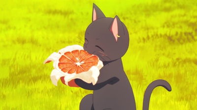 The Classroom of a Black Cat and a Witch