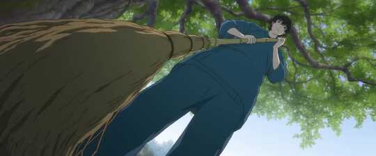 The Camphorwood Custodian