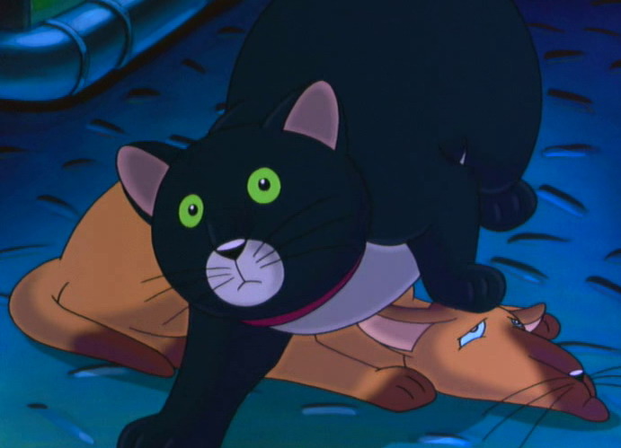 La Gabbianella E Il Gatto Anime Animeclick It