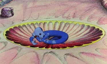 Il pianeta selvaggio