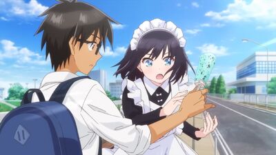 The Food Diary of Miss Maid