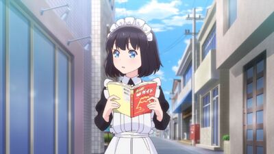 The Food Diary of Miss Maid