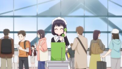 The Food Diary of Miss Maid