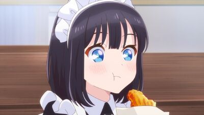 The Food Diary of Miss Maid